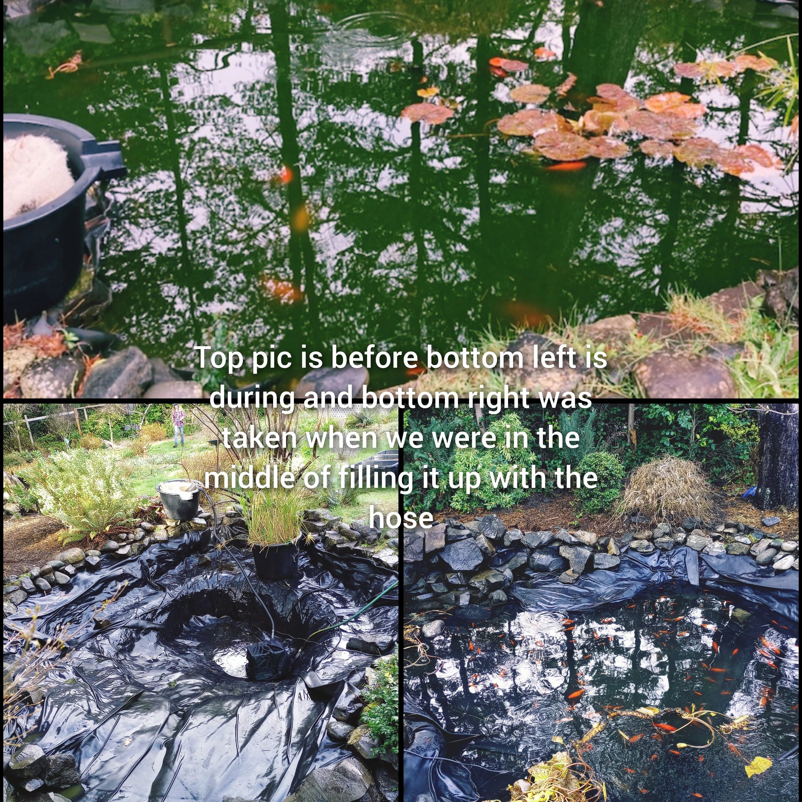 Aquarium before and after 3