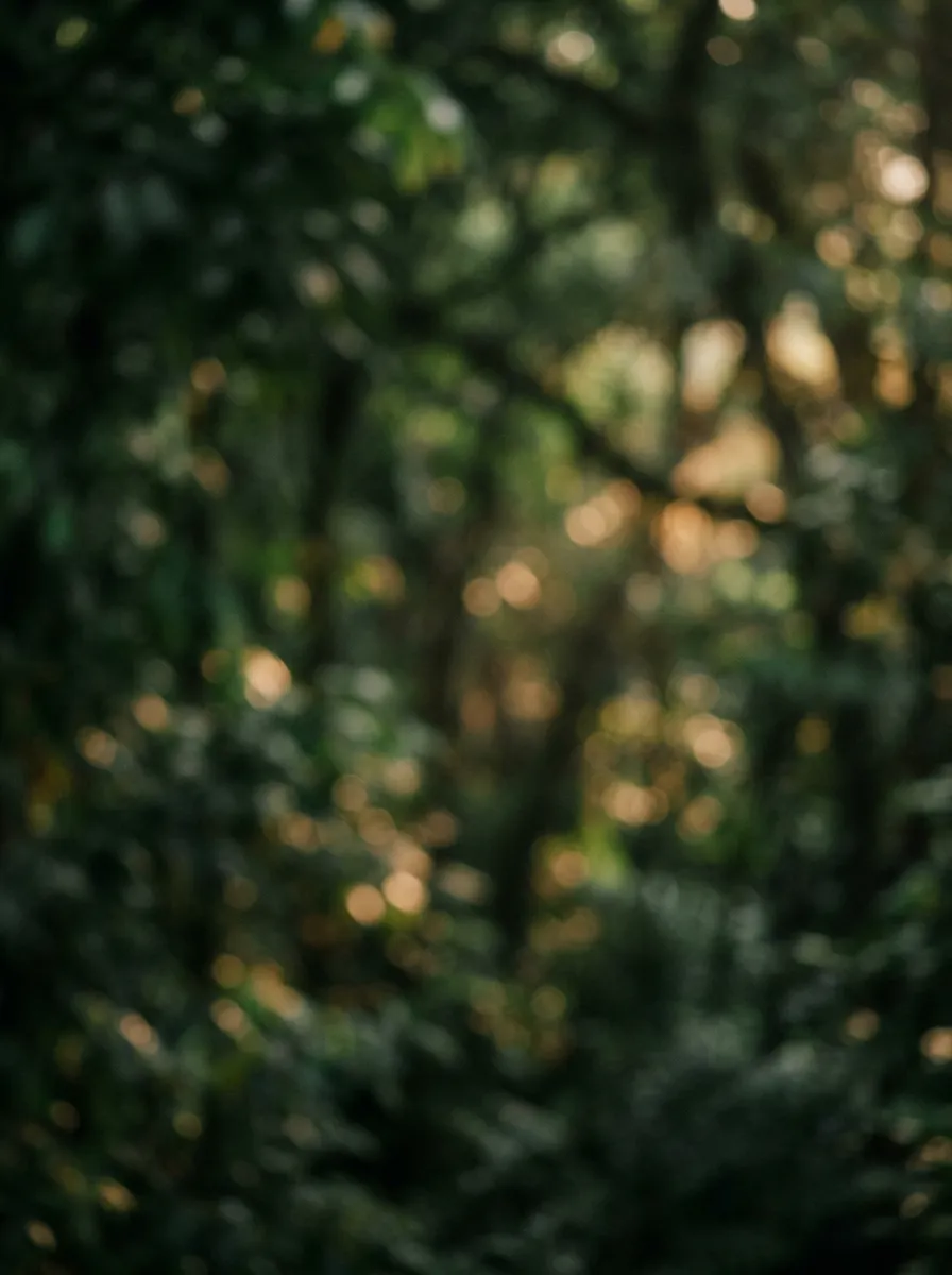 Lush misty Costa Rican forest canopy and tranquil retreat setting
