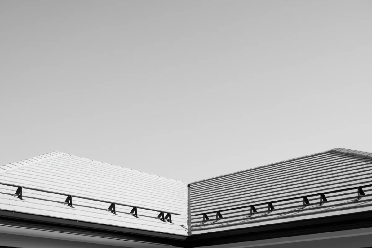 Unexpected Expenses in monochrome