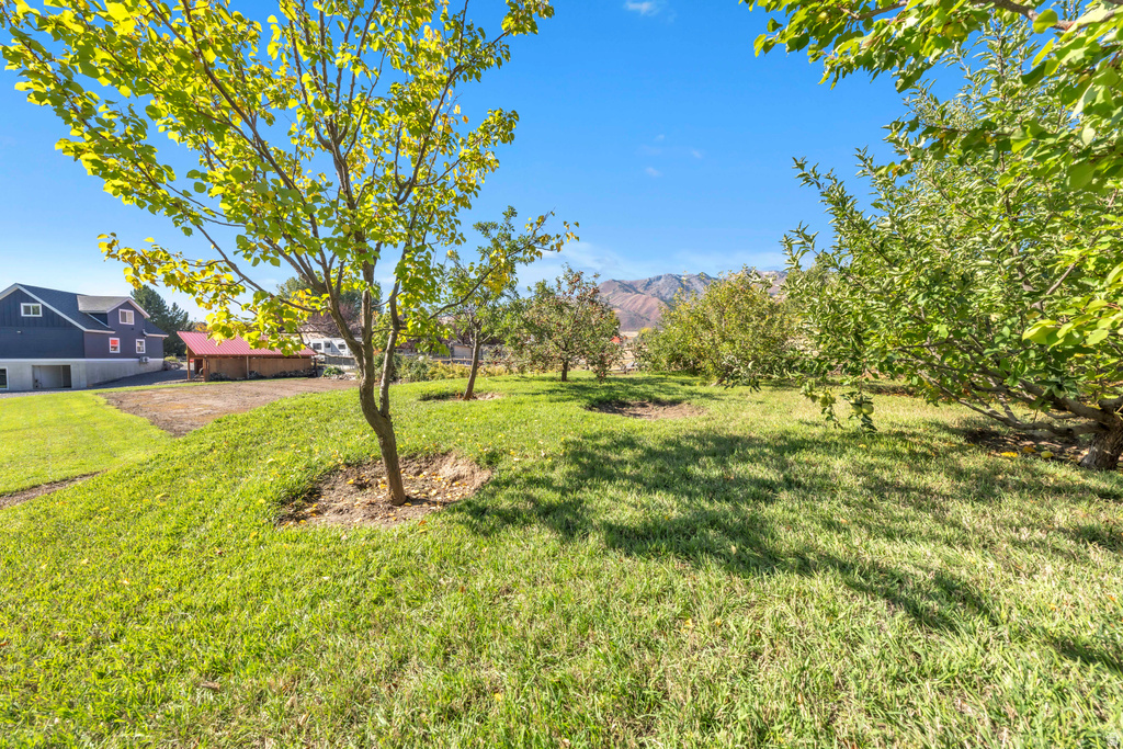Aerial view of the expansive backyard