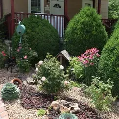 Winning Yard 7
