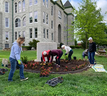 Spring planting 2020