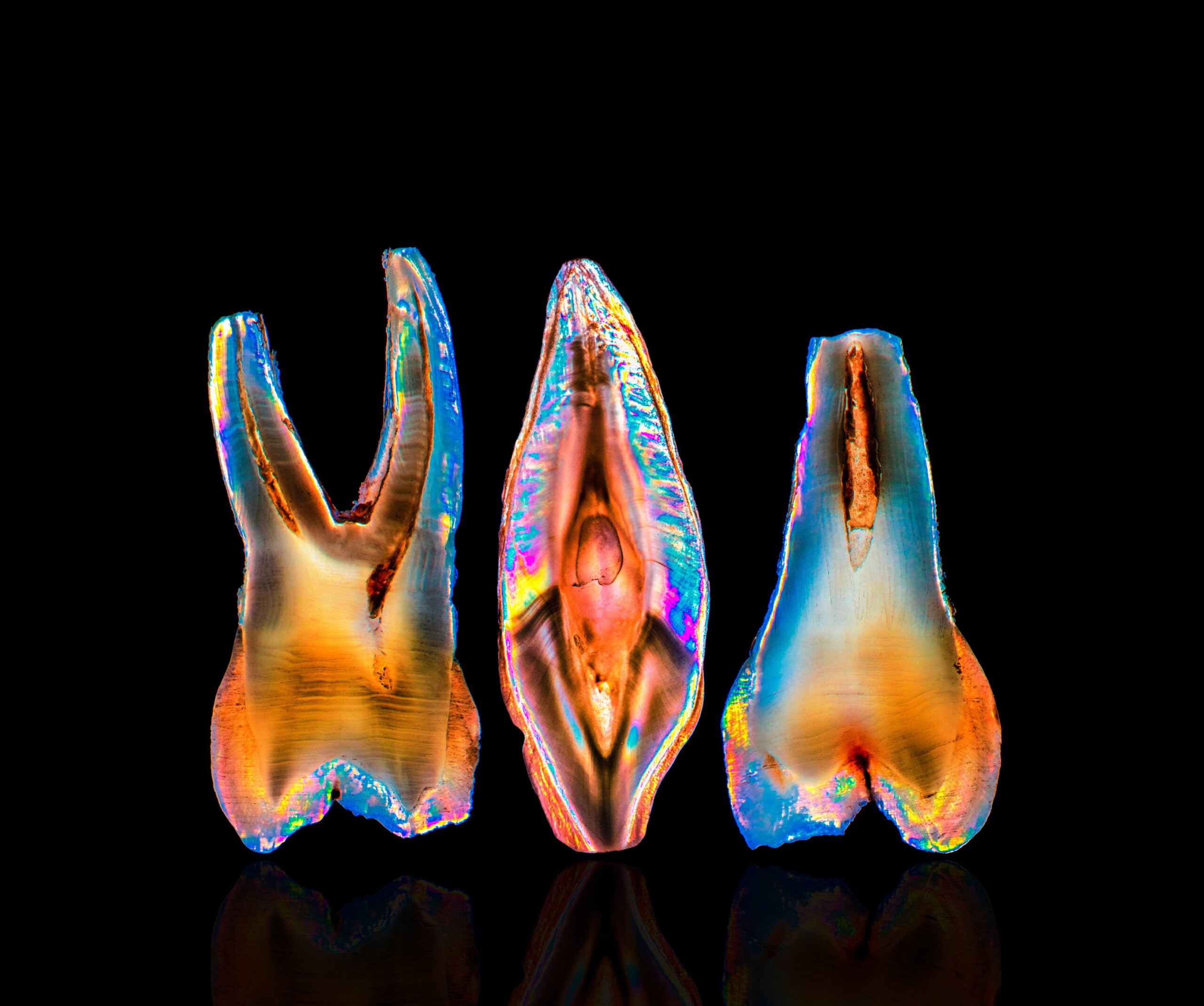 Art Meets Science 3D Mapping