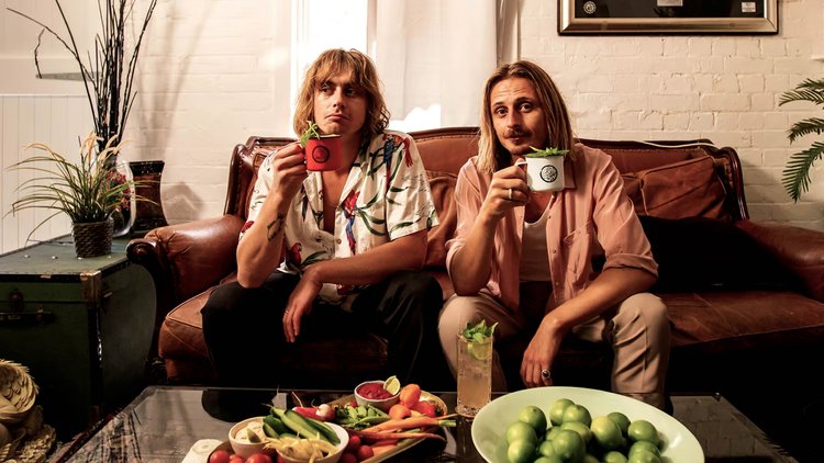 Diageo x Lime Cordiale project still