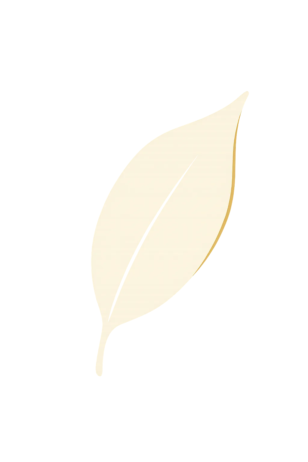 Soft botanical leaf silhouette decorative graphic bottom right corner