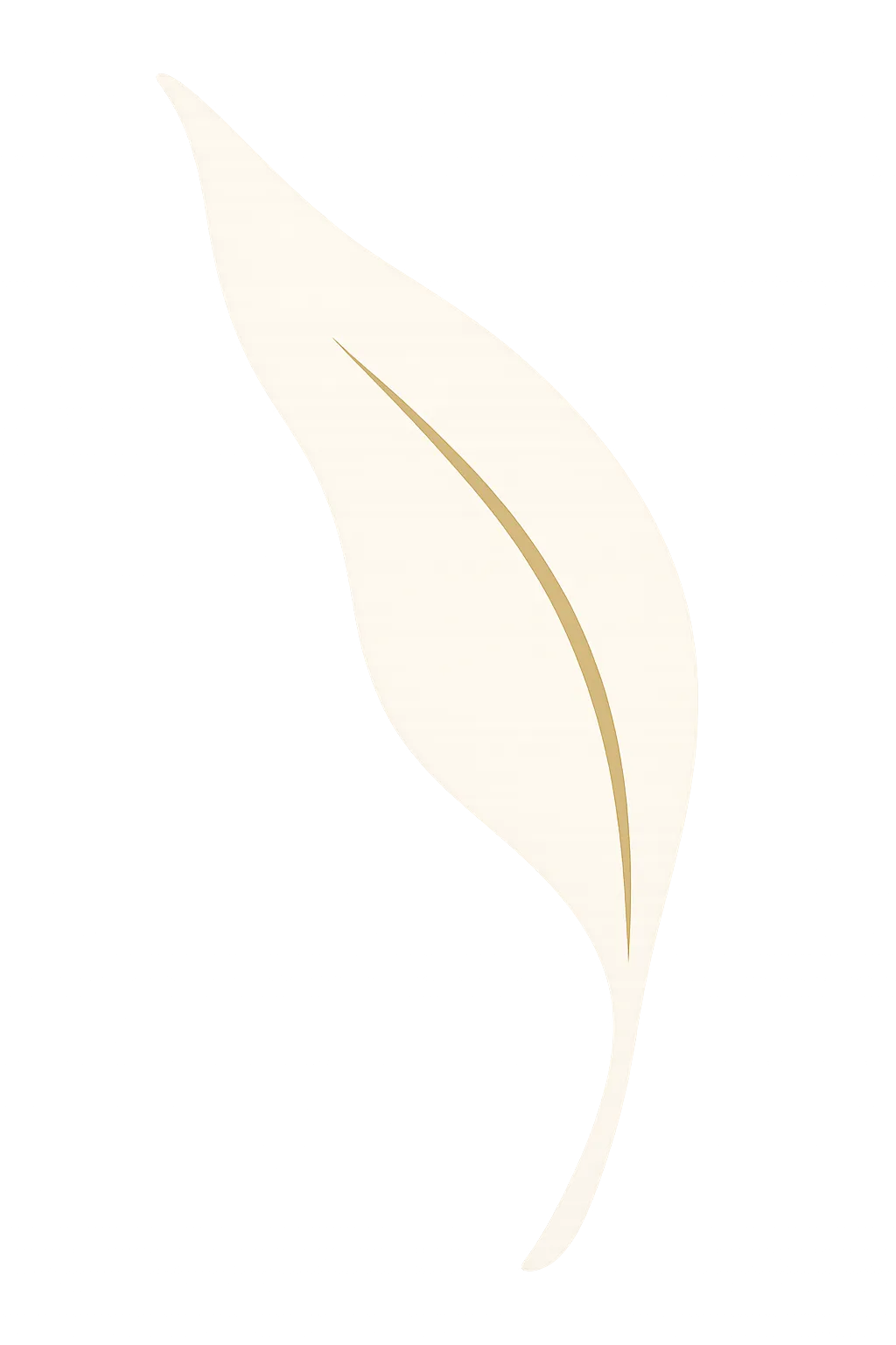 Soft botanical leaf silhouette decorative backdrop