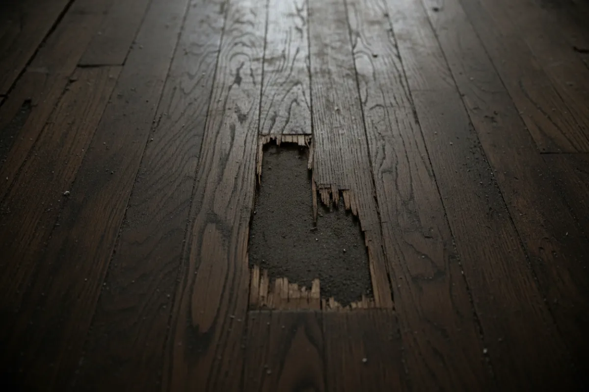 Plancher montrant dommages et réparations nécessaires, photo sans visages