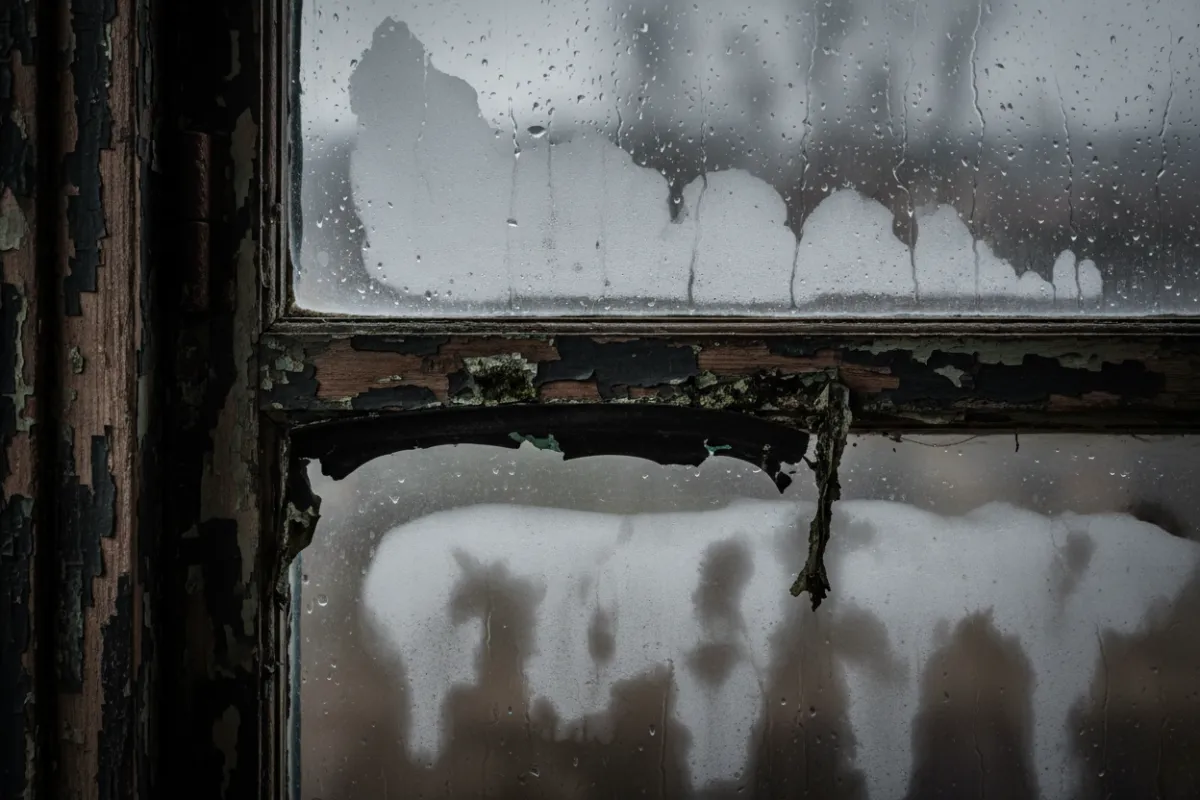 Doors and windows showing drafts, condensation between panes, and frame damage, no faces