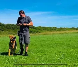 Stopping Pulling on the lead