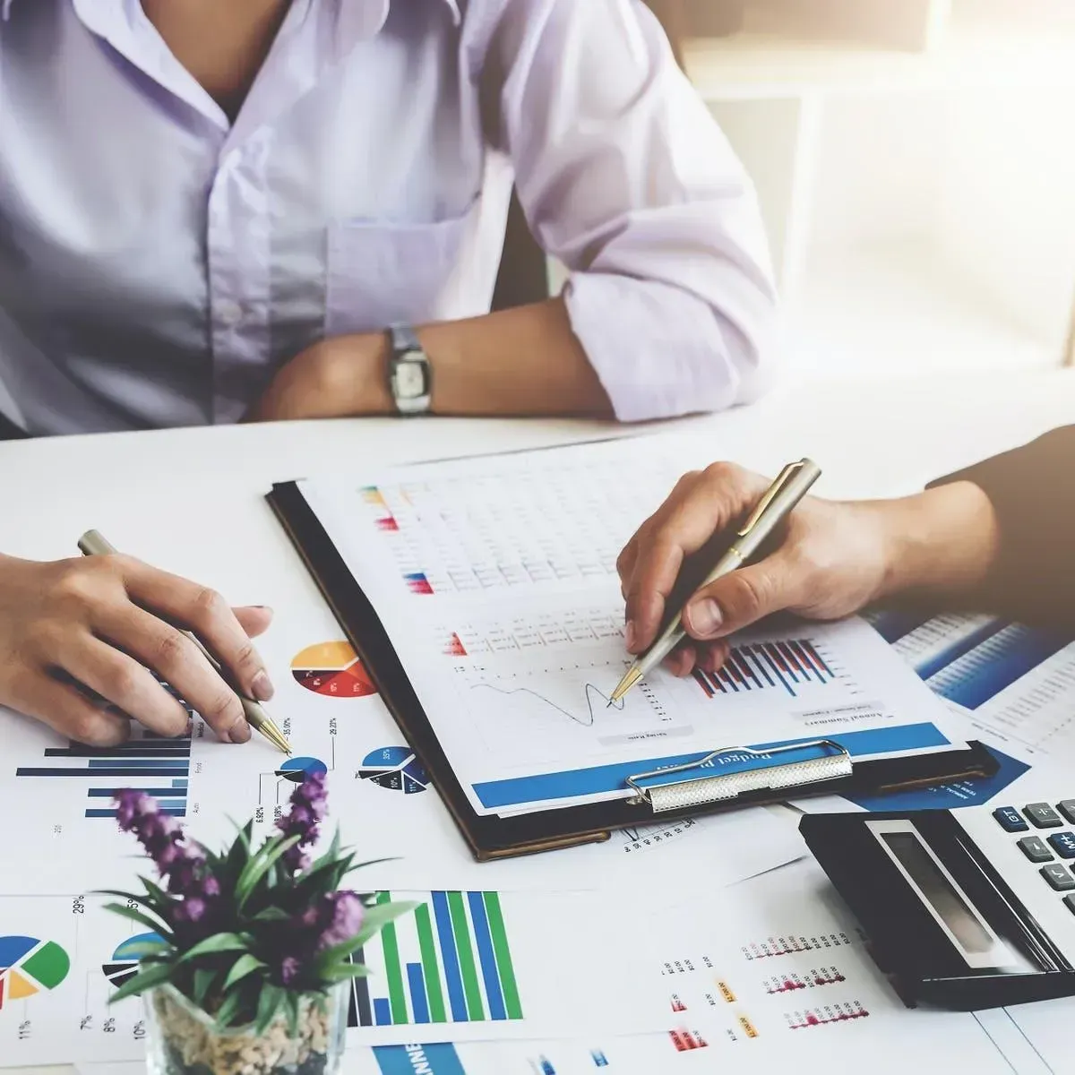 Certified Public Accountant