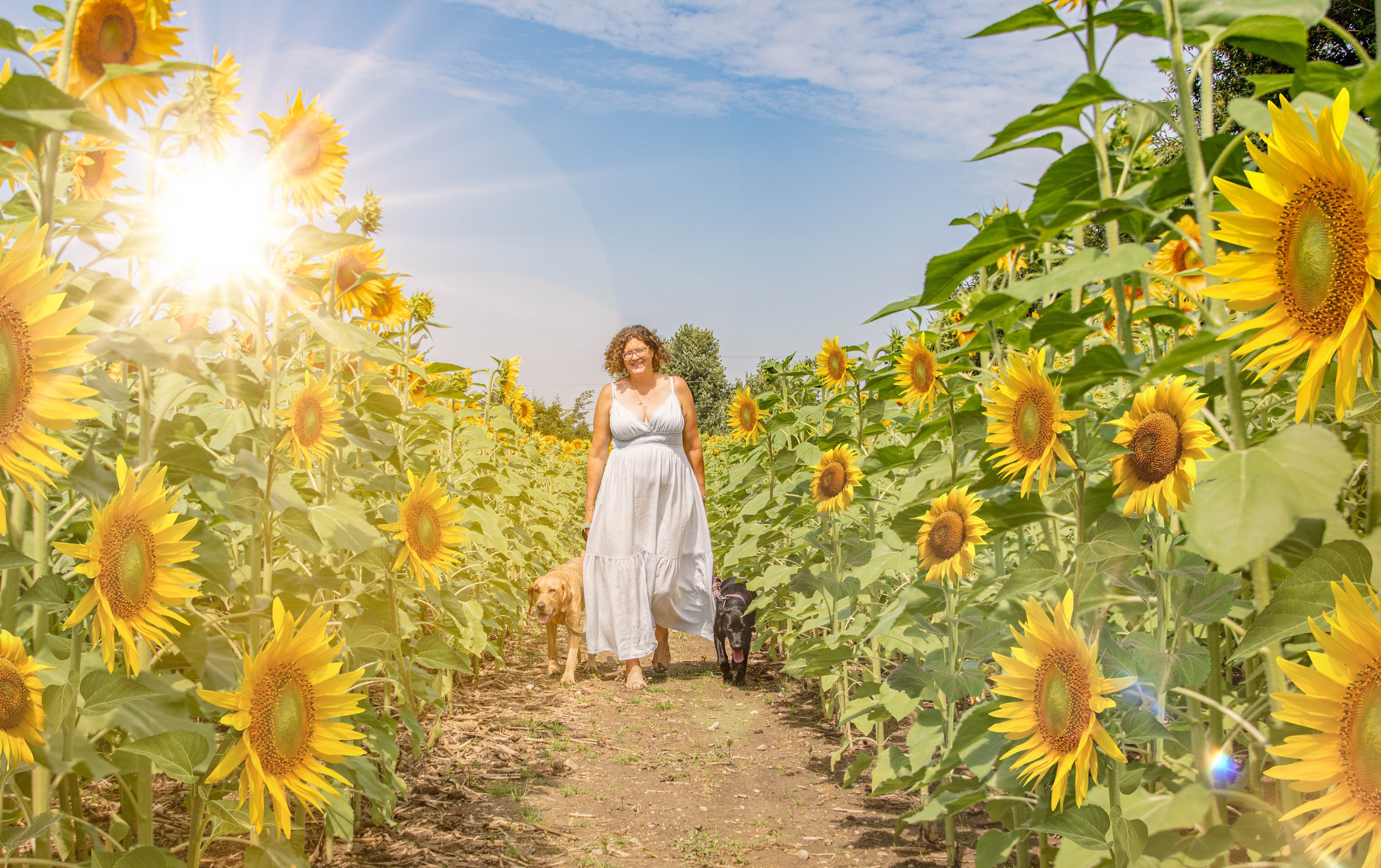 Woman walking in a sunflower field with her dog