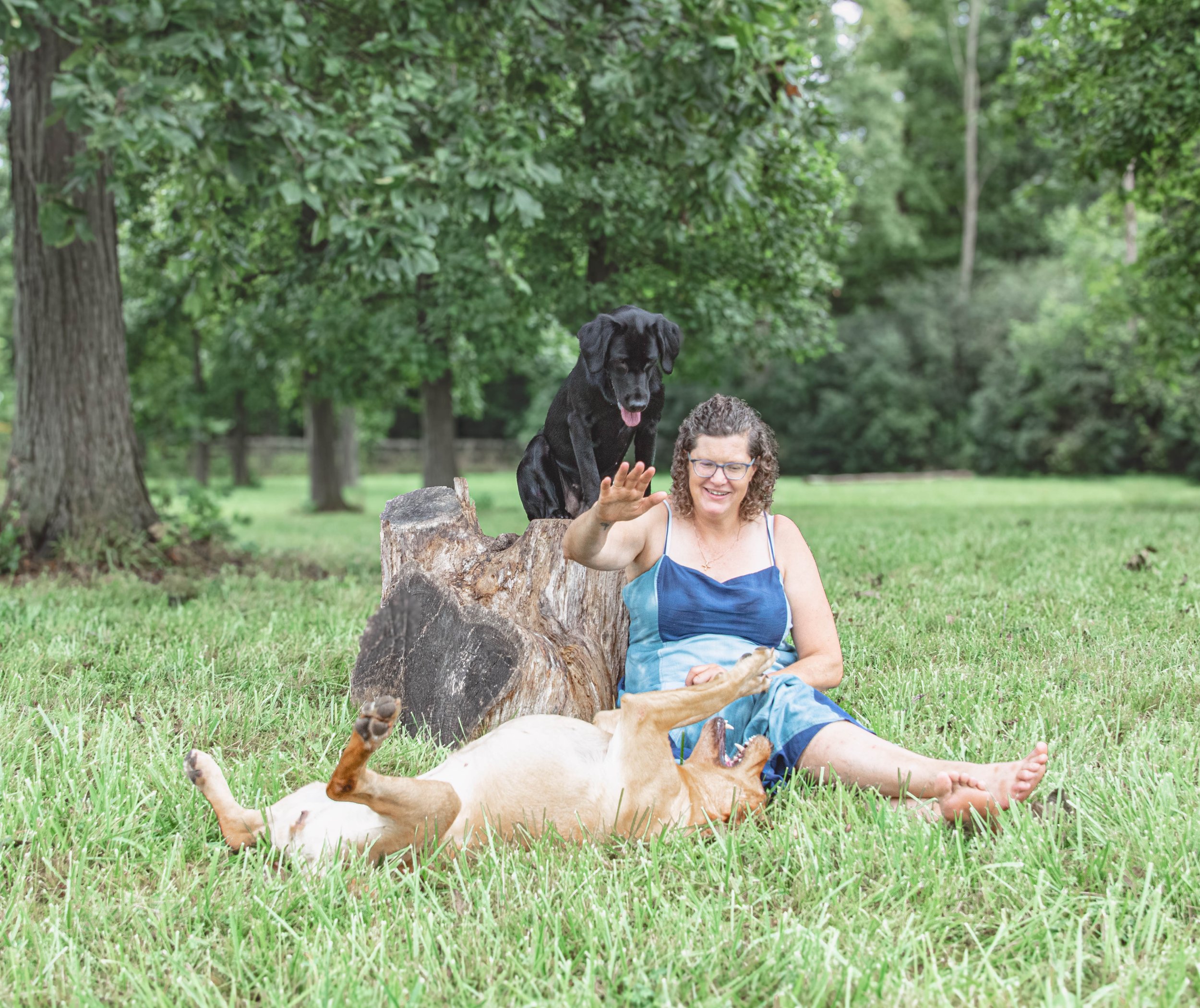 Arianne and dogs resting in a field