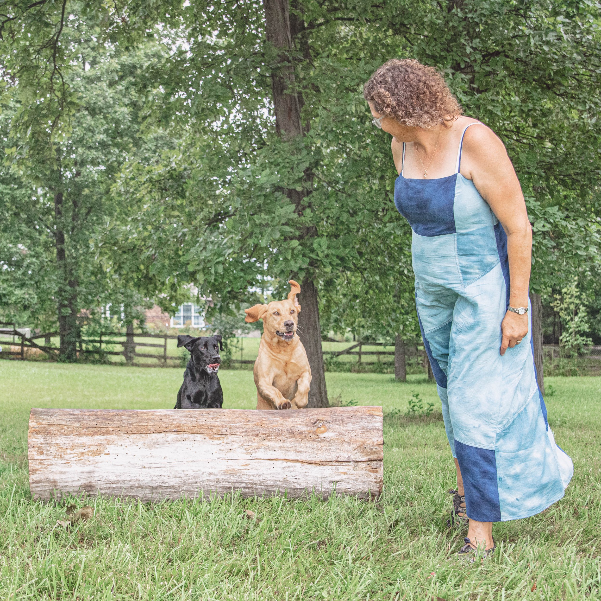 Woman sitting on a bench with two dogs
