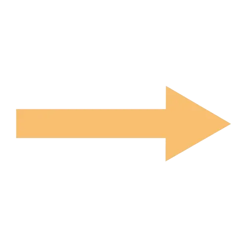 List arrow icon
