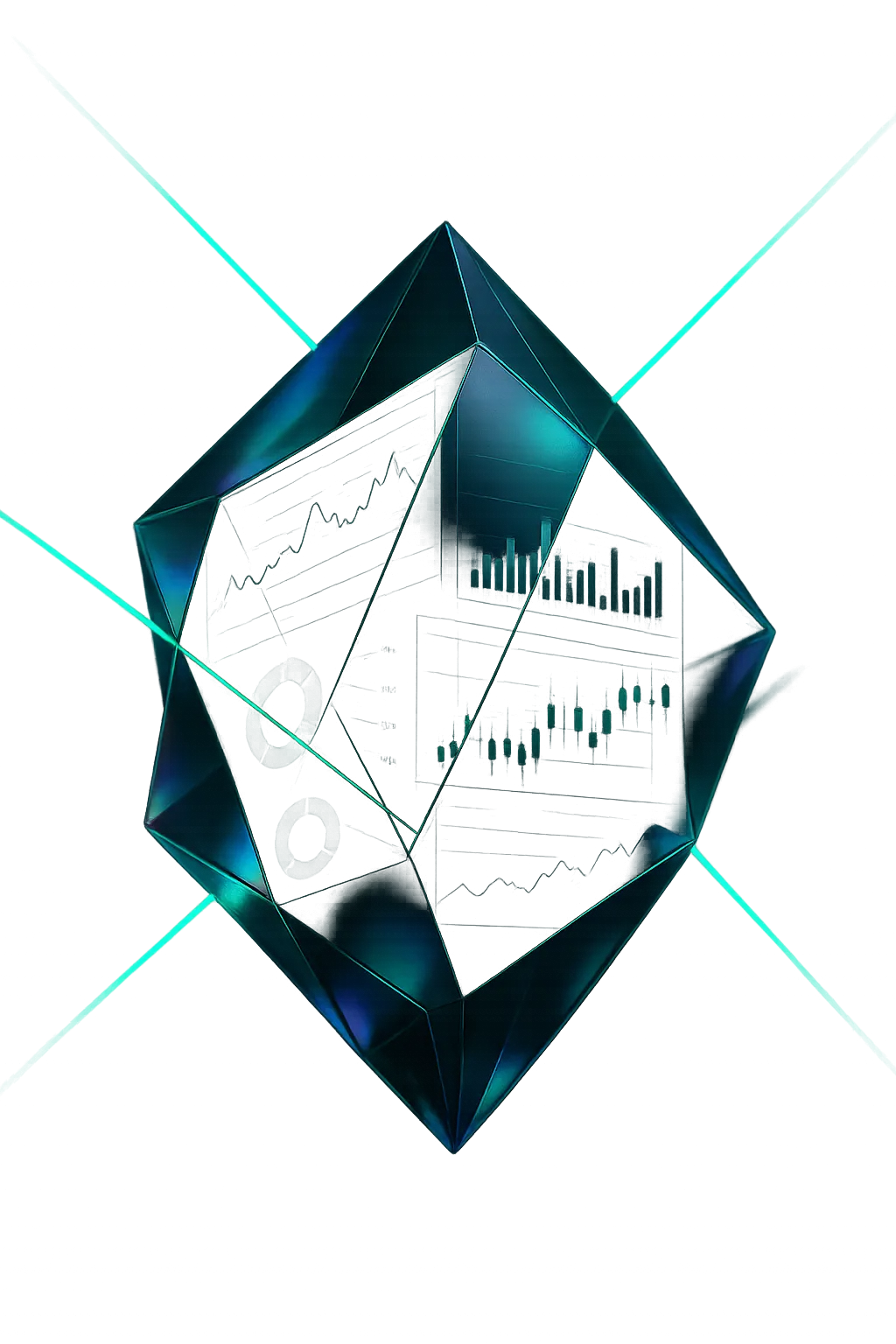 Elite Fractional CFO Dashboard Visualization