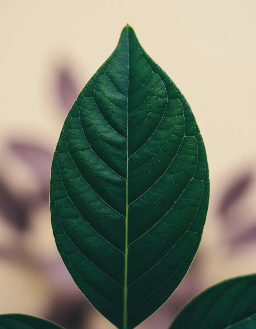 Soft botanical leaves in soft natural lighting