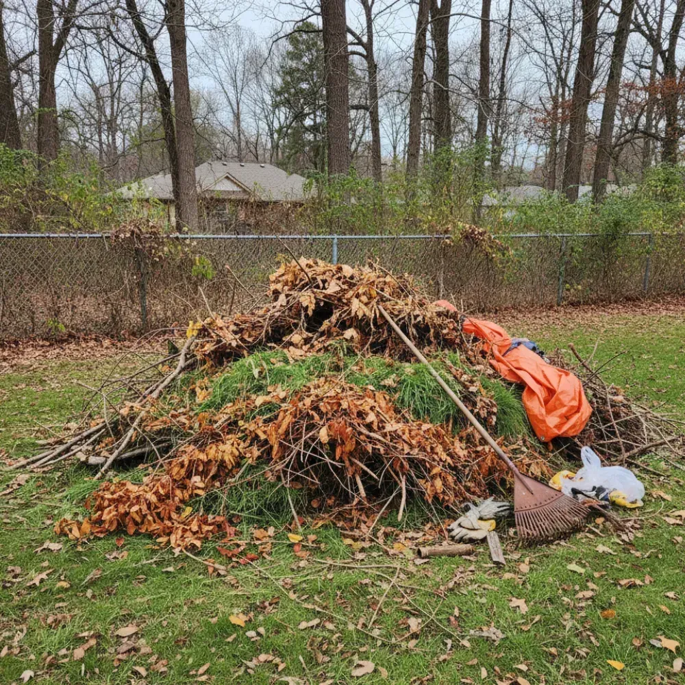 Yard Debris Removal