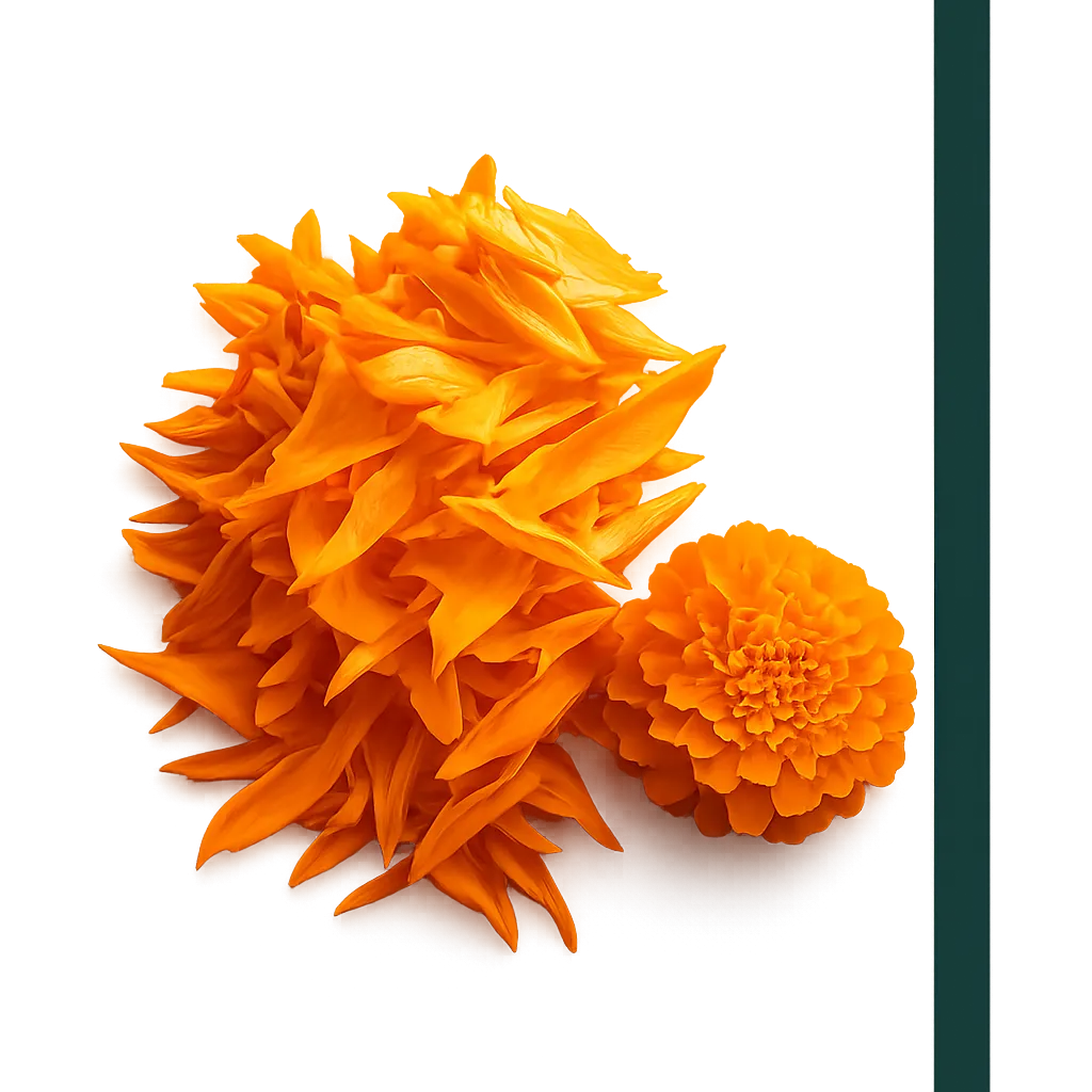 Lutein botanical extract