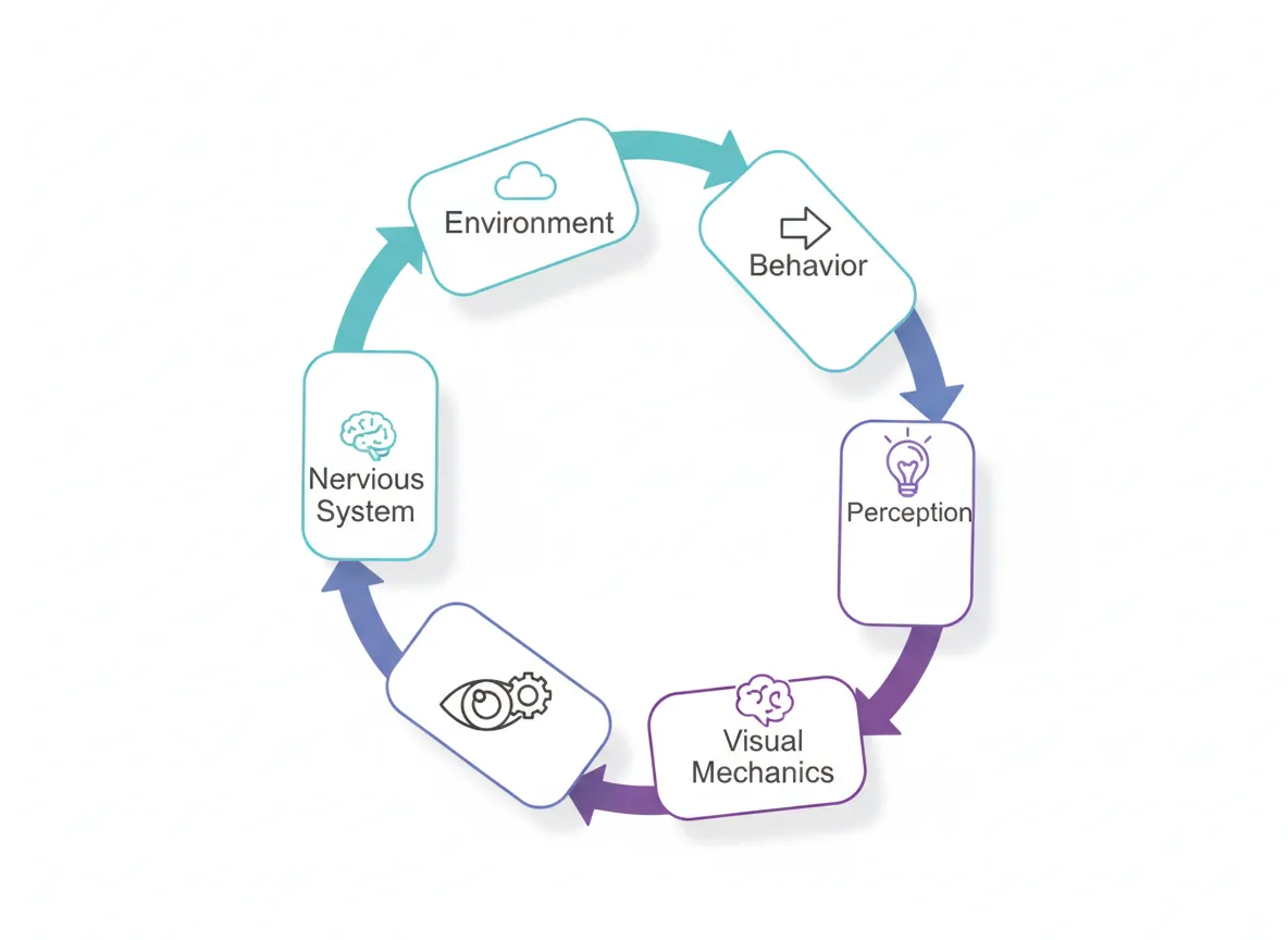Visual Regulation Diagram