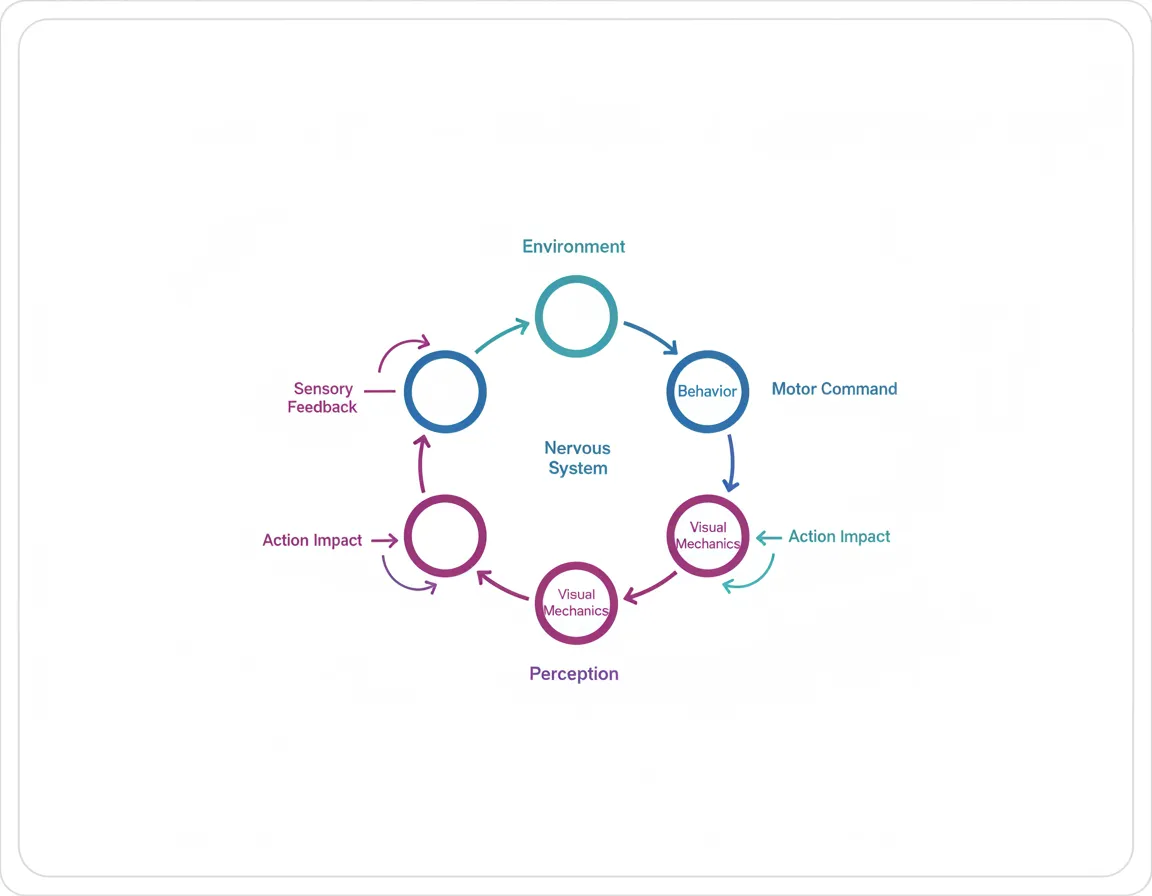Visual Regulation Model diagram placeholder
