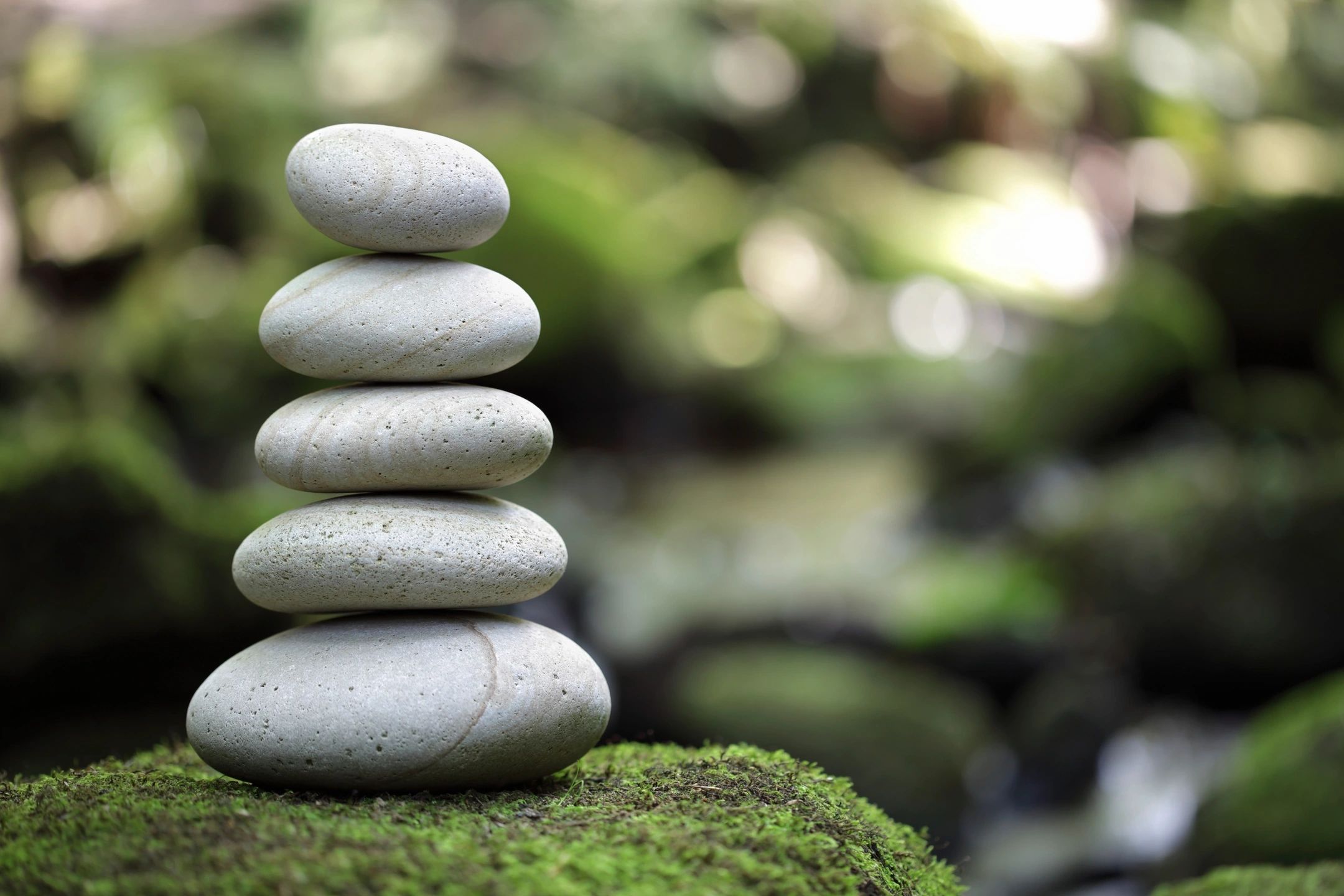 Nervous System and Somatic Healing