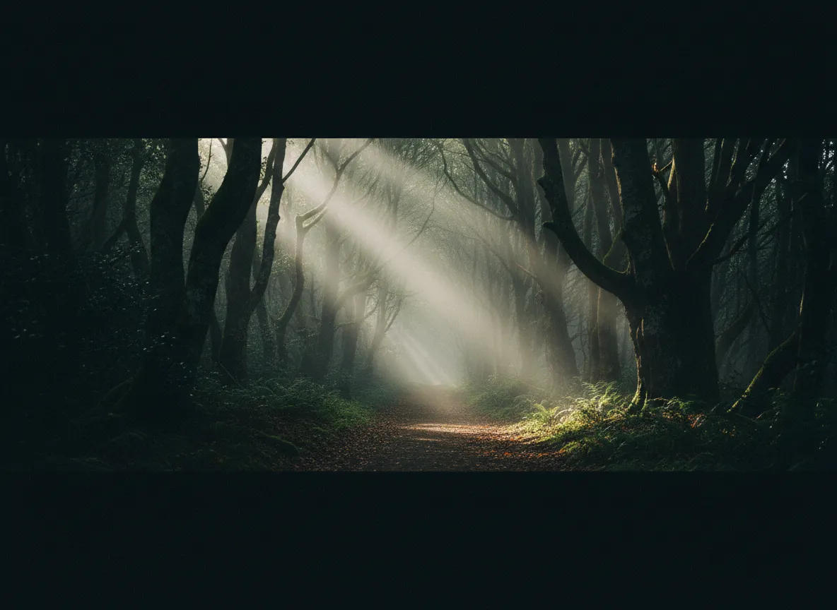 Moody forest path shrouded in fog