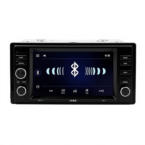 Car DVD & Multimedia Players