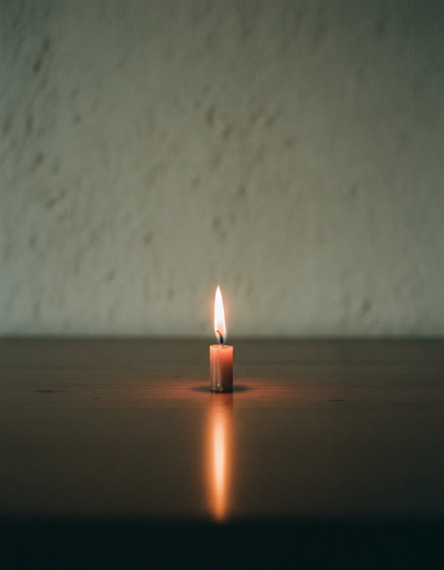 A gentle, grounding image representing the courage to feel deeply.