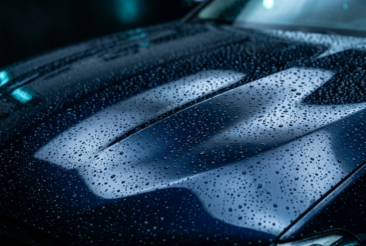 Thorough hand wash and maintenance detailing treatment