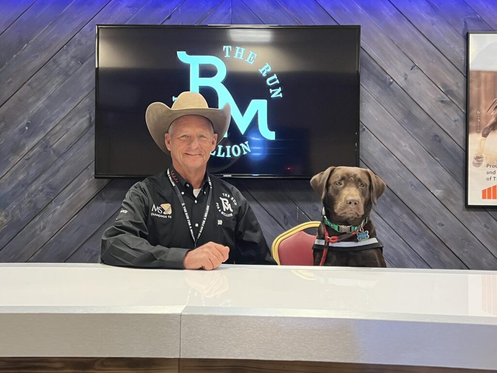 Steve Ross Workshop Host