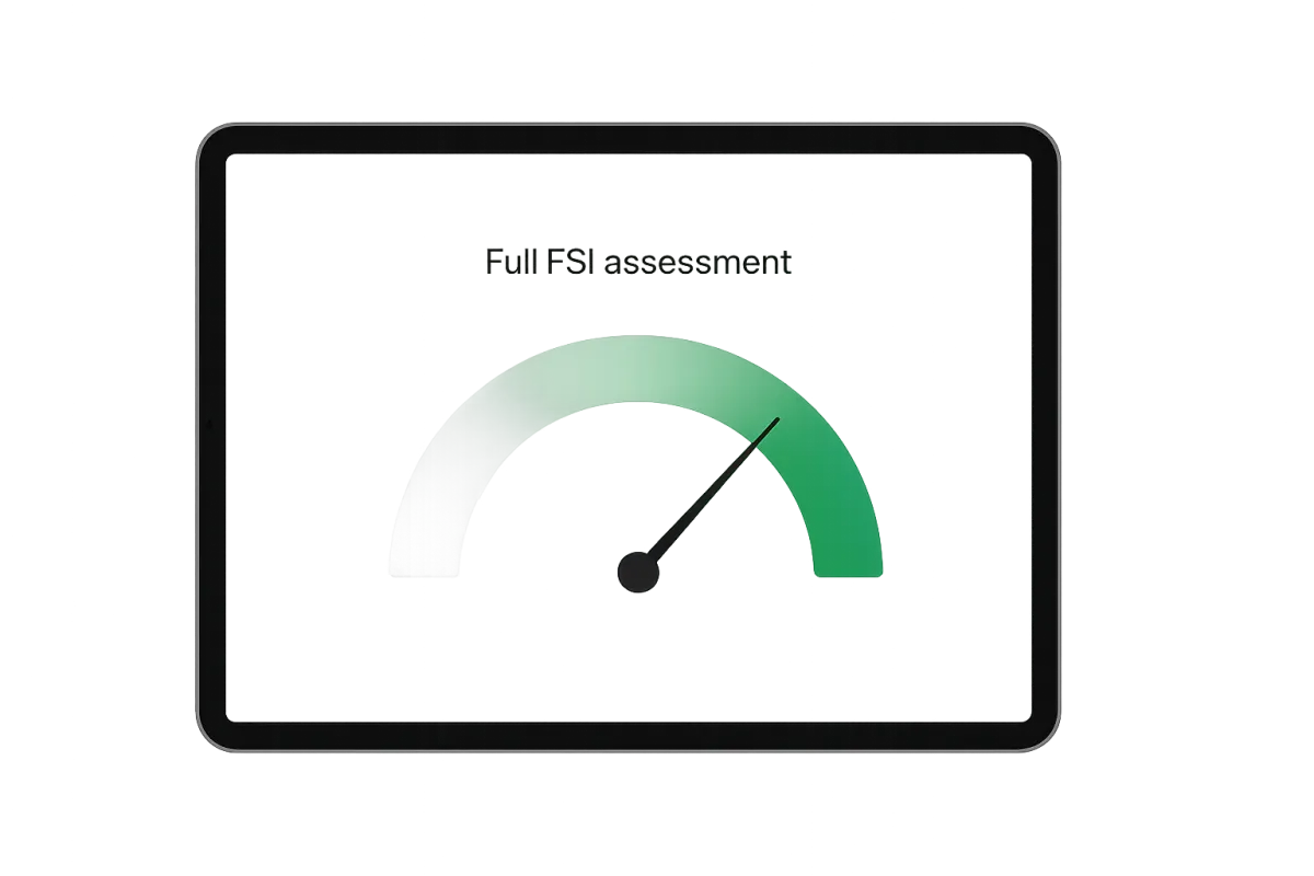 Full FSI Assessment Interface