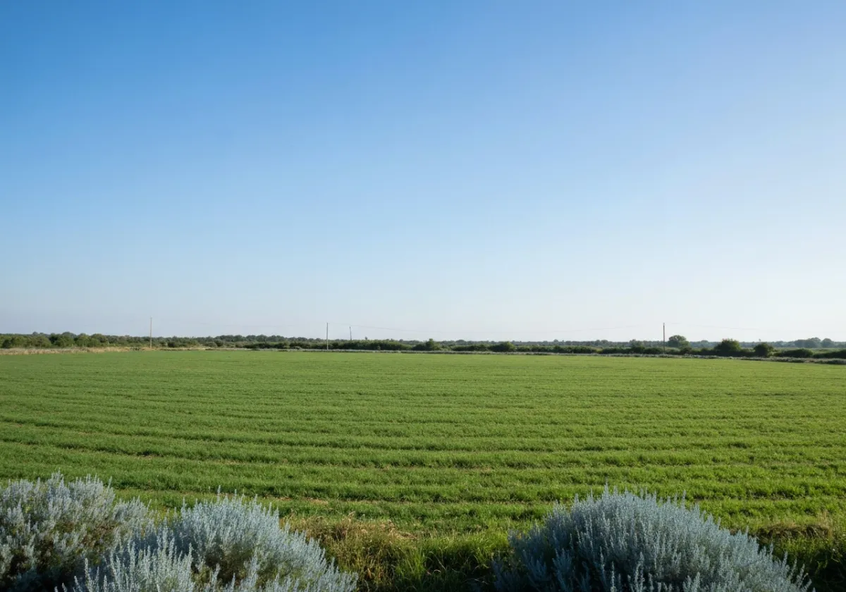 Terreno amplio listo para construcción de un proyecto inmobiliario