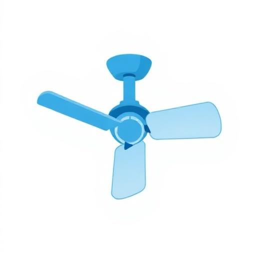 Ceiling Fans
