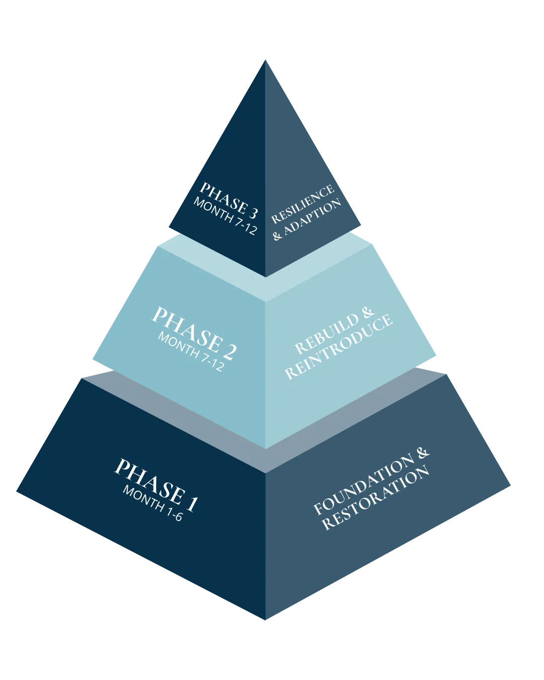 3 Phase Pyramid Model