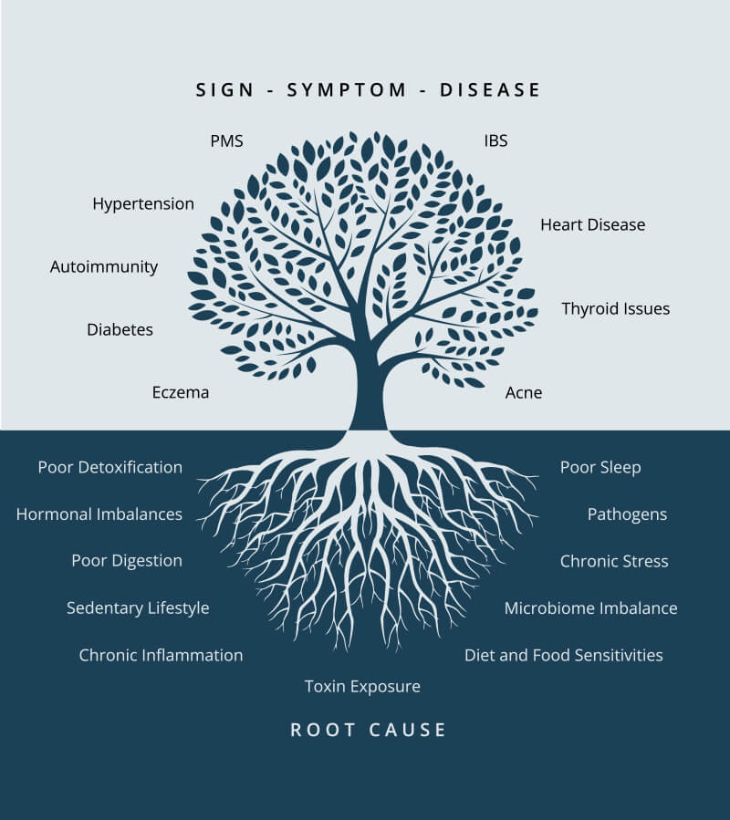 Tree diagram showing root causes of health issues