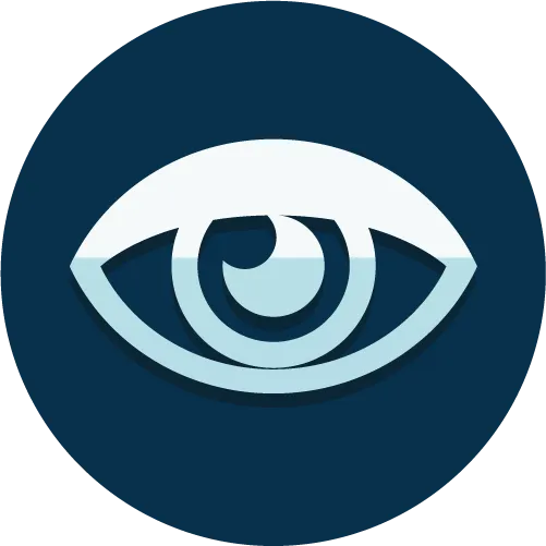 Eye Icon