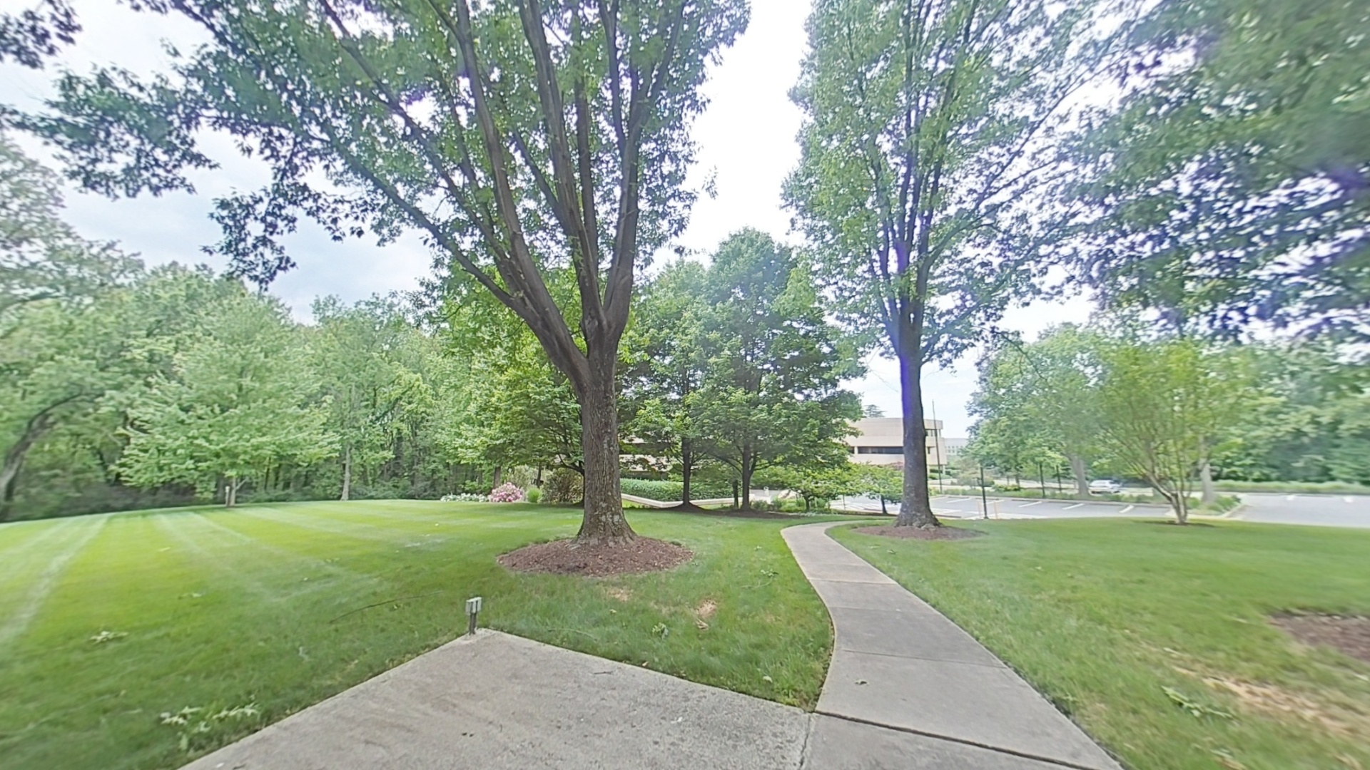 Landscaped campus grounds