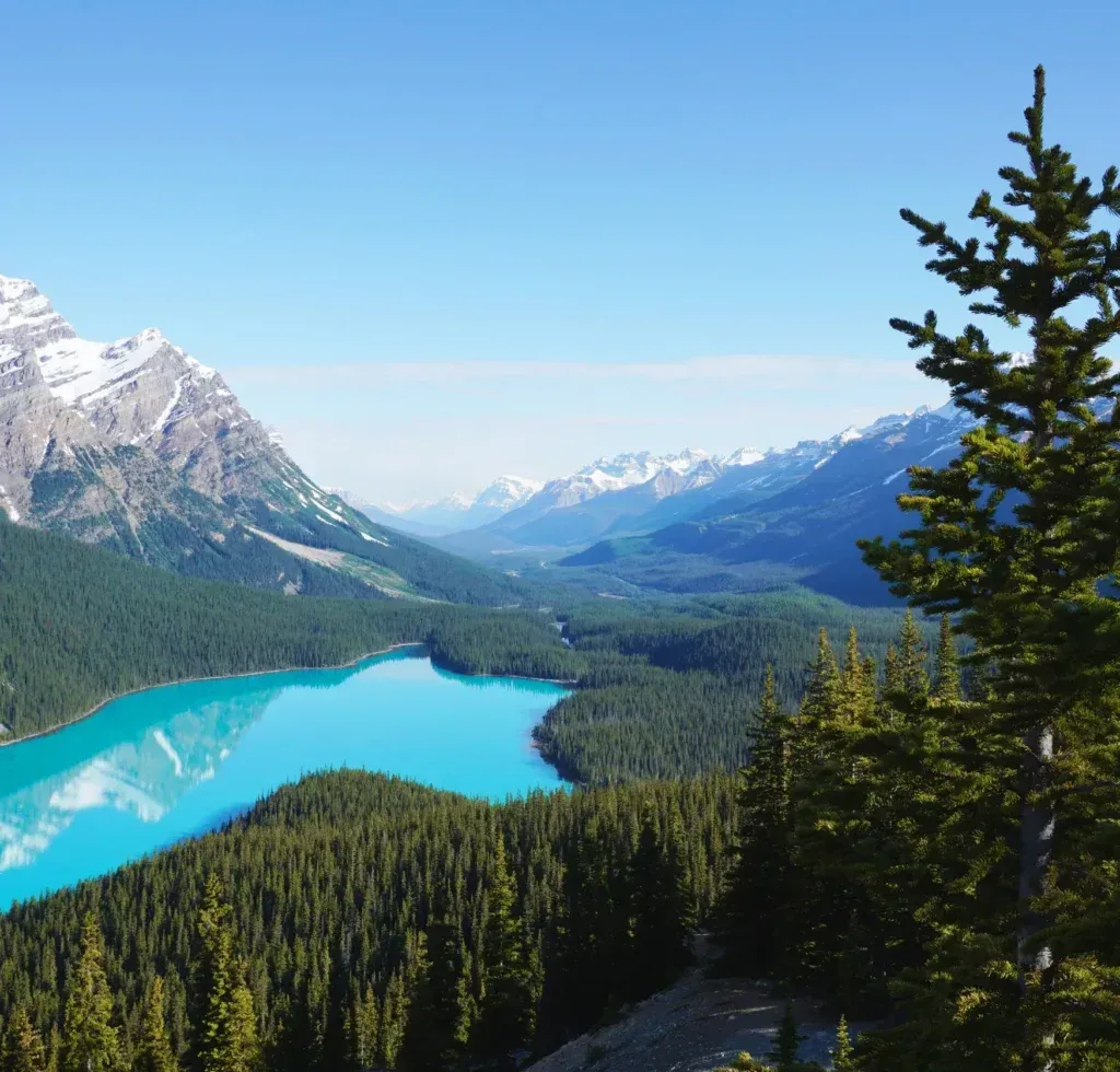 My Top 5 Travel Bucket List