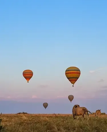 Subscribe Tablet graphic showing a hot air balloon scene