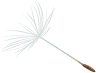 Decorative flower icon