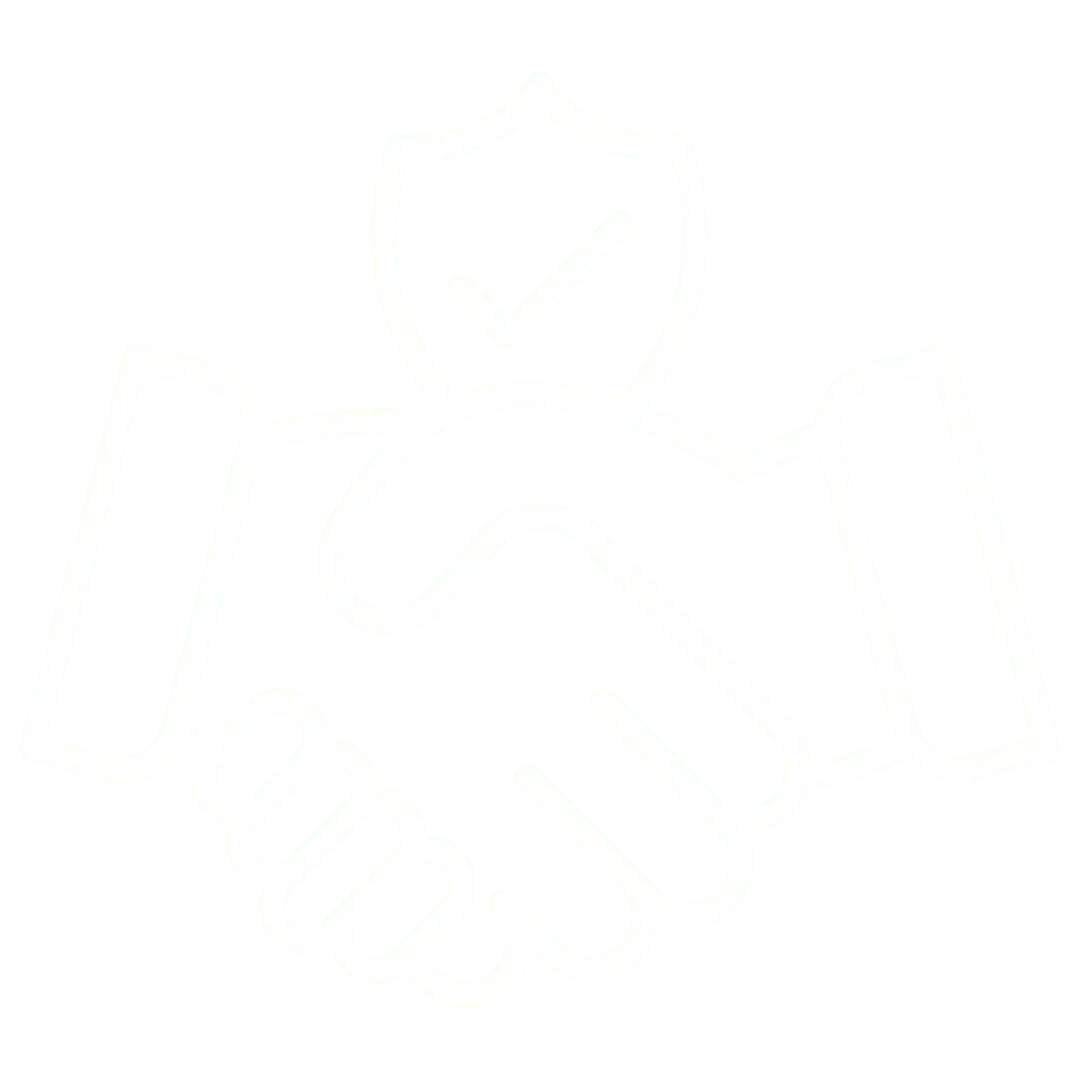 Integrity icon