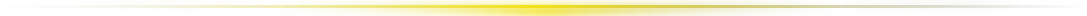 Decorative Element 3
