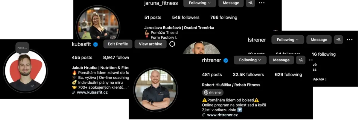 Bonus 1 - Complete profile and content audit