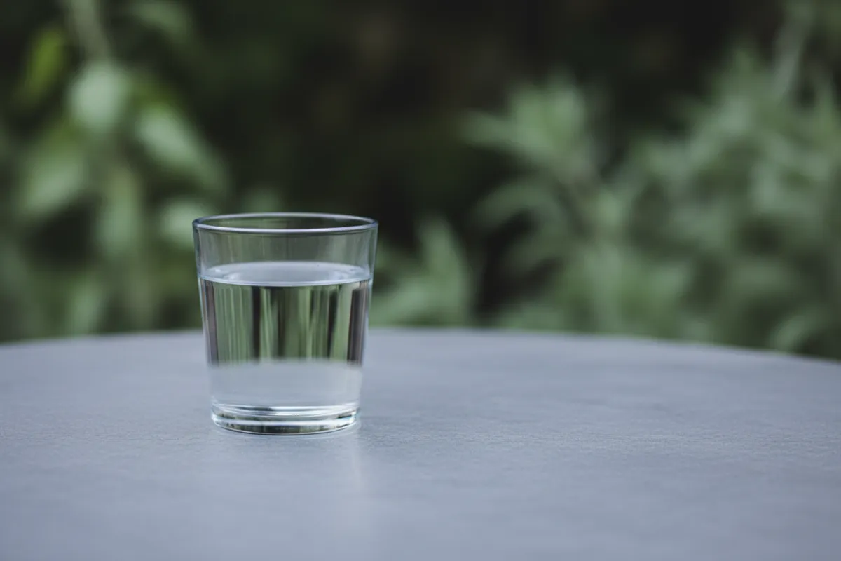 Enagic wellness lifestyle