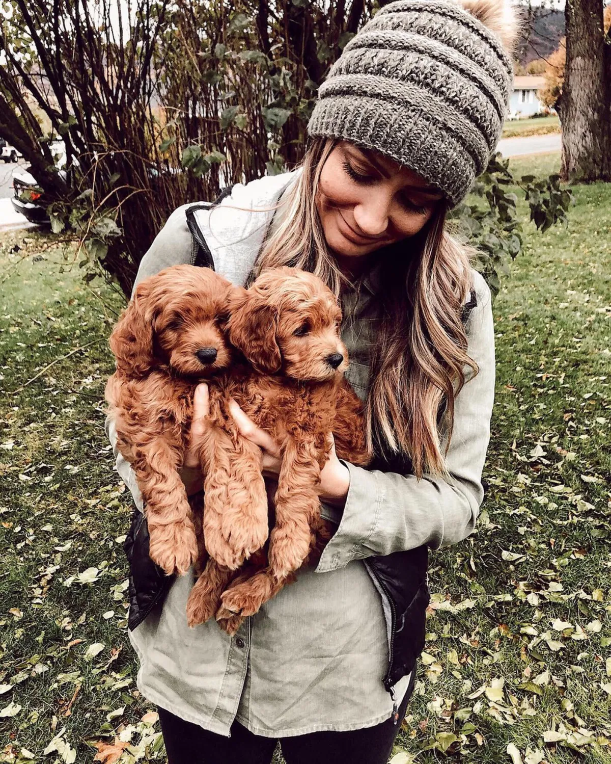 STAY GOLDEN DOODLES