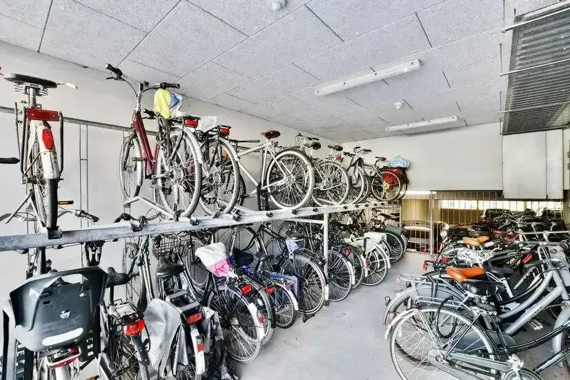 Reliable Near Me Bicycle Shop for Quality Bike Repairs