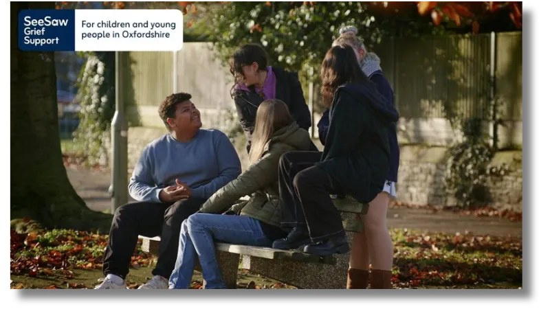 cover photo for seesaw