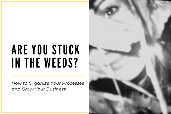 Getting out of the Weeds: Are You Getting High or Getting Your Processes Organized?