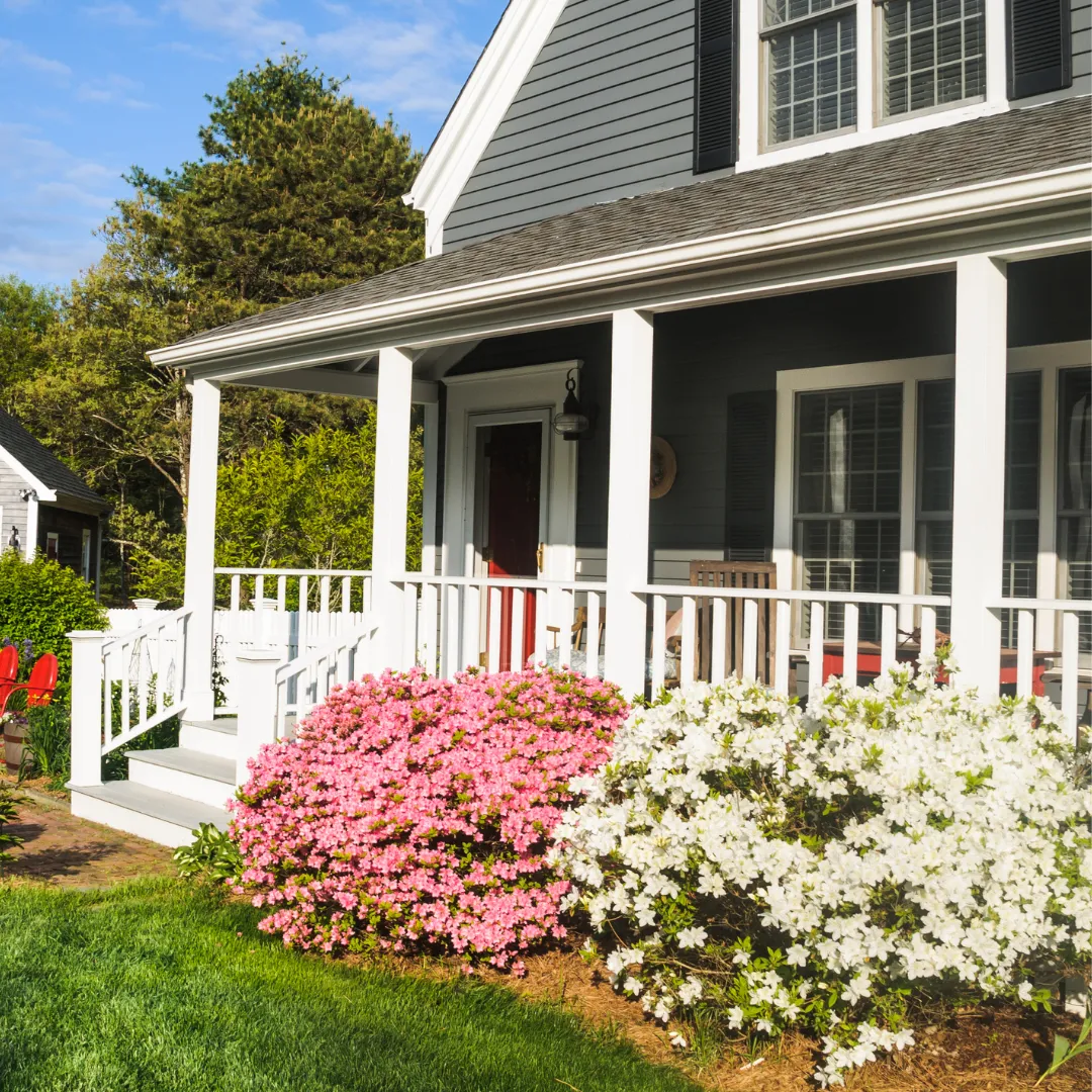 Spring house with flowers