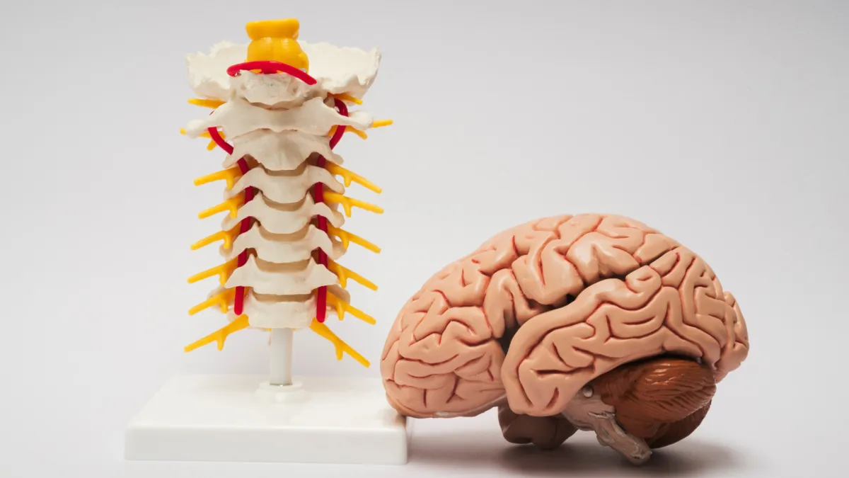 Safe and effective spine surgery alternatives from a leading spine surgeon Plano TX